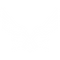 VOG