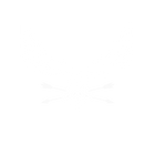 VOG